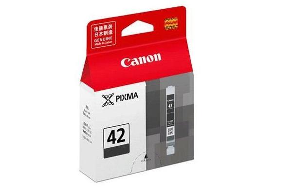 Original  Tintenpatrone grau Canon Pixma Pro 100